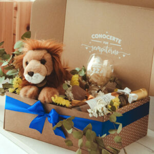 Maxi Box Sorpresa 2